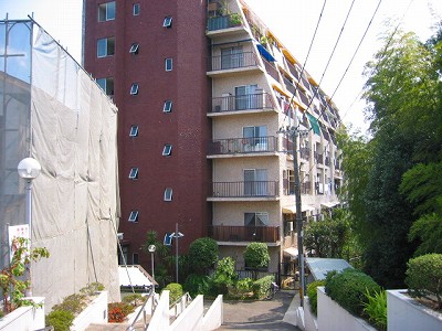 s-IMG_3555.jpg