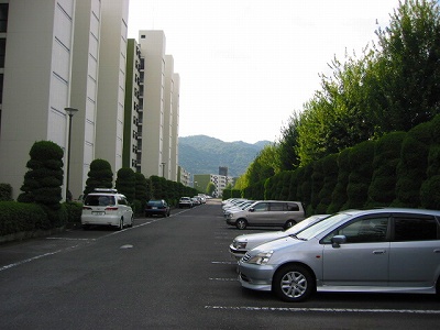 s-IMG_3290.jpg