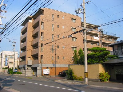 s-IMG_3461.jpg