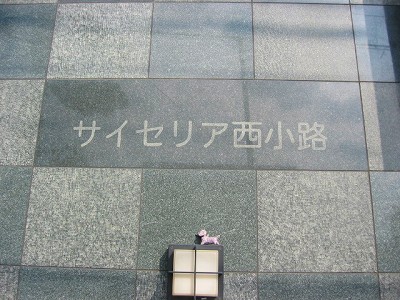 s-IMG_3644.jpg