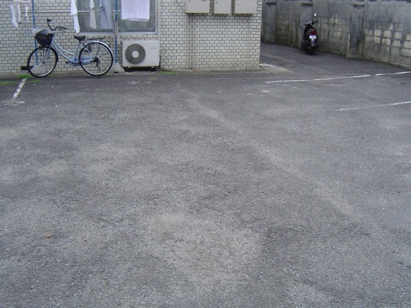 写真あり