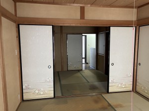 IMG_6025