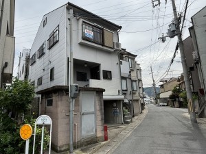 IMG_7519