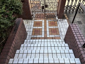 IMG_1248