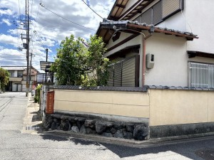 IMG_1959