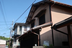 IMG_0047