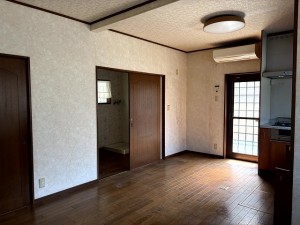IMG_2550