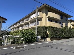 IMG_3433