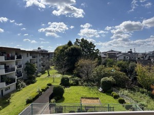 IMG_3546